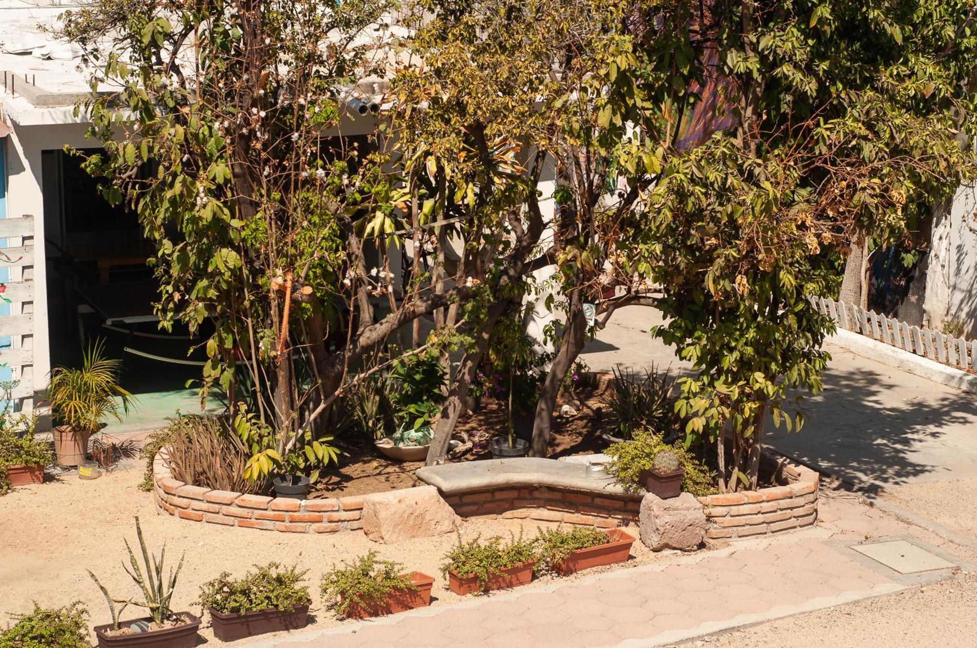 Peace Hostel Mx La Paz Exterior photo